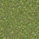 Seamless Tileable Texture of Forest Lawn.-tashatuvango-Photographic Print