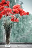 Bouquet of Poppies-tashka2000-Photographic Print