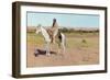 Tashkoniy (Herder), Cache Creek, Oklahoma-Henry Francois Farny-Framed Giclee Print