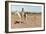 Tashkoniy (Herder), Cache Creek, Oklahoma-Henry Francois Farny-Framed Giclee Print