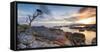 Tasmania, Australia. Binalong Bay, Bay of Fires at Sunrise-Matteo Colombo-Framed Stretched Canvas