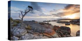 Tasmania, Australia. Binalong Bay, Bay of Fires at Sunrise-Matteo Colombo-Stretched Canvas