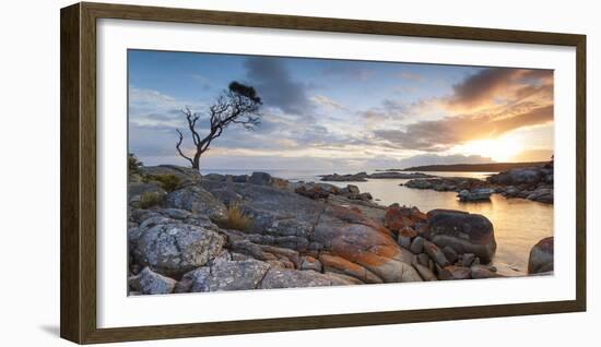 Tasmania, Australia. Binalong Bay, Bay of Fires at Sunrise-Matteo Colombo-Framed Photographic Print