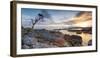 Tasmania, Australia. Binalong Bay, Bay of Fires at Sunrise-Matteo Colombo-Framed Photographic Print