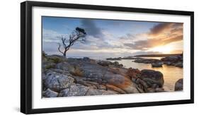 Tasmania, Australia. Binalong Bay, Bay of Fires at Sunrise-Matteo Colombo-Framed Photographic Print