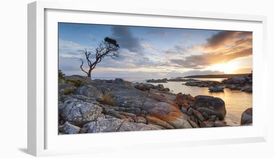 Tasmania, Australia. Binalong Bay, Bay of Fires at Sunrise-Matteo Colombo-Framed Photographic Print