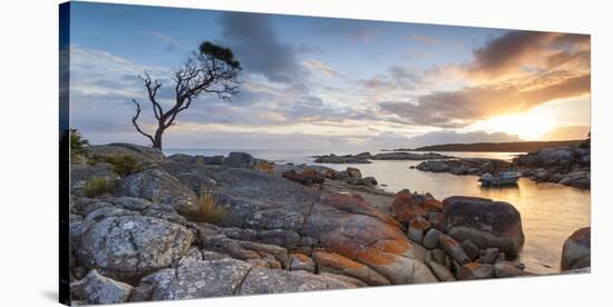 Tasmania, Australia. Binalong Bay, Bay of Fires at Sunrise-Matteo Colombo-Stretched Canvas