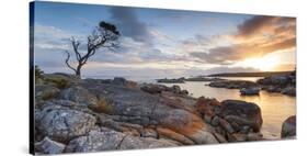 Tasmania, Australia. Binalong Bay, Bay of Fires at Sunrise-Matteo Colombo-Stretched Canvas