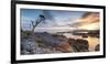 Tasmania, Australia. Binalong Bay, Bay of Fires at Sunrise-Matteo Colombo-Framed Photographic Print