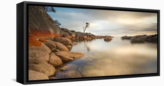 Tasmania, Australia. Binalong Bay, Bay of Fires at Sunrise-Matteo Colombo-Framed Stretched Canvas