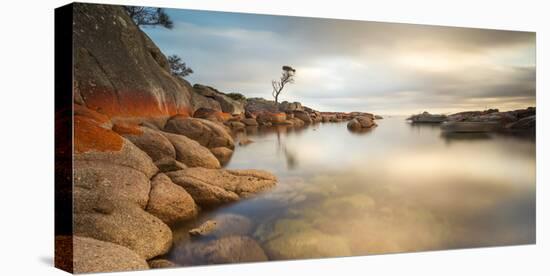 Tasmania, Australia. Binalong Bay, Bay of Fires at Sunrise-Matteo Colombo-Stretched Canvas