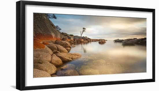 Tasmania, Australia. Binalong Bay, Bay of Fires at Sunrise-Matteo Colombo-Framed Photographic Print