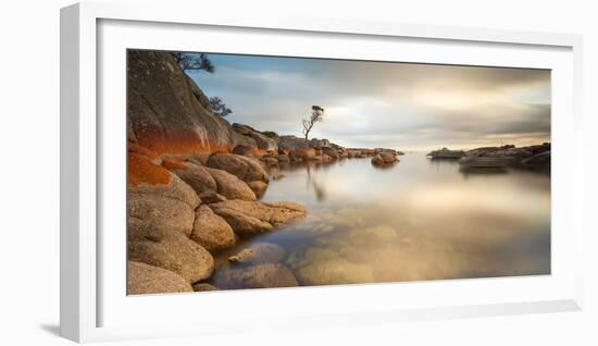 Tasmania, Australia. Binalong Bay, Bay of Fires at Sunrise-Matteo Colombo-Framed Photographic Print