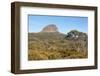 Tasmania, Cradle Mountain-Lake St Clair NP. Morning light on Barn Bluff and eucalyptus forest-Trish Drury-Framed Photographic Print