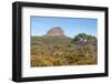 Tasmania, Cradle Mountain-Lake St Clair NP. Morning light on Barn Bluff and eucalyptus forest-Trish Drury-Framed Photographic Print