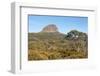 Tasmania, Cradle Mountain-Lake St Clair NP. Morning light on Barn Bluff and eucalyptus forest-Trish Drury-Framed Photographic Print