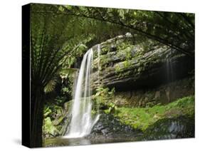 Tasmania, Mount Fields National Park, Russel Falls, Australia-Christian Kober-Stretched Canvas