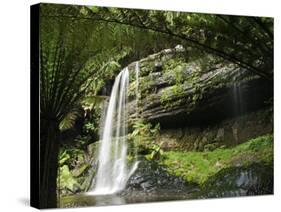 Tasmania, Mount Fields National Park, Russel Falls, Australia-Christian Kober-Stretched Canvas