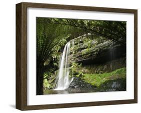 Tasmania, Mount Fields National Park, Russel Falls, Australia-Christian Kober-Framed Photographic Print