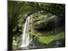 Tasmania, Mount Fields National Park, Russel Falls, Australia-Christian Kober-Mounted Photographic Print