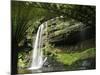 Tasmania, Mount Fields National Park, Russel Falls, Australia-Christian Kober-Mounted Photographic Print