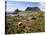 Tasmania, Peaks of Cradle Mountain and Wallaby Running Through Bush on Overland Track, Australia-Christian Kober-Stretched Canvas