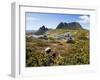 Tasmania, Peaks of Cradle Mountain and Wallaby Running Through Bush on Overland Track, Australia-Christian Kober-Framed Photographic Print