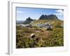 Tasmania, Peaks of Cradle Mountain and Wallaby Running Through Bush on Overland Track, Australia-Christian Kober-Framed Photographic Print