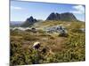 Tasmania, Peaks of Cradle Mountain and Wallaby Running Through Bush on Overland Track, Australia-Christian Kober-Mounted Photographic Print