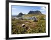 Tasmania, Peaks of Cradle Mountain and Wallaby Running Through Bush on Overland Track, Australia-Christian Kober-Framed Photographic Print