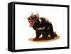 Tasmanian Devil-Spencer Sutton-Framed Stretched Canvas