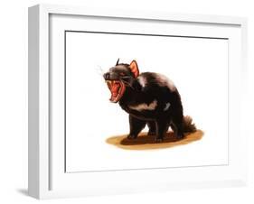 Tasmanian Devil-Spencer Sutton-Framed Art Print