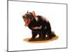 Tasmanian Devil-Spencer Sutton-Mounted Art Print