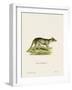 Tasmanian Tiger-null-Framed Giclee Print