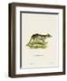 Tasmanian Tiger-null-Framed Giclee Print