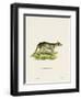 Tasmanian Tiger-null-Framed Premium Giclee Print