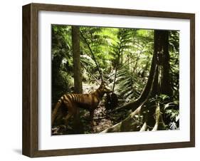 Tasmanian Wolf In Forest-Christian Darkin-Framed Photographic Print