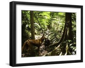 Tasmanian Wolf In Forest-Christian Darkin-Framed Photographic Print