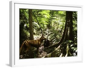 Tasmanian Wolf In Forest-Christian Darkin-Framed Photographic Print