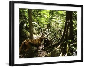 Tasmanian Wolf In Forest-Christian Darkin-Framed Photographic Print