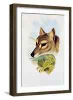 Tasmanian Wolf or Tiger (Thylacinus Cynocephalus)-Henry Constantine Richter-Framed Giclee Print