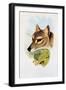 Tasmanian Wolf or Tiger (Thylacinus Cynocephalus)-Henry Constantine Richter-Framed Giclee Print