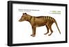 Tasmanian Wolf (Thylacinus Cynocephalus), Tasmanian Tiger, Thylacine, Extinct Species, Mammals-Encyclopaedia Britannica-Framed Poster