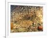 Tasselled Wobbegong in School of Golden Sweepers, Indonesia-Michele Westmorland-Framed Photographic Print