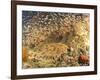 Tasselled Wobbegong in School of Golden Sweepers, Indonesia-Michele Westmorland-Framed Photographic Print