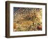 Tasselled Wobbegong in School of Golden Sweepers, Indonesia-Michele Westmorland-Framed Photographic Print