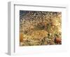 Tasselled Wobbegong in School of Golden Sweepers, Indonesia-Michele Westmorland-Framed Photographic Print