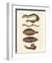 Tasty Fish-null-Framed Giclee Print