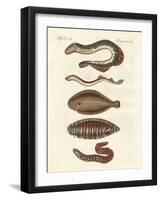 Tasty Fish-null-Framed Giclee Print