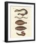 Tasty Fish-null-Framed Giclee Print